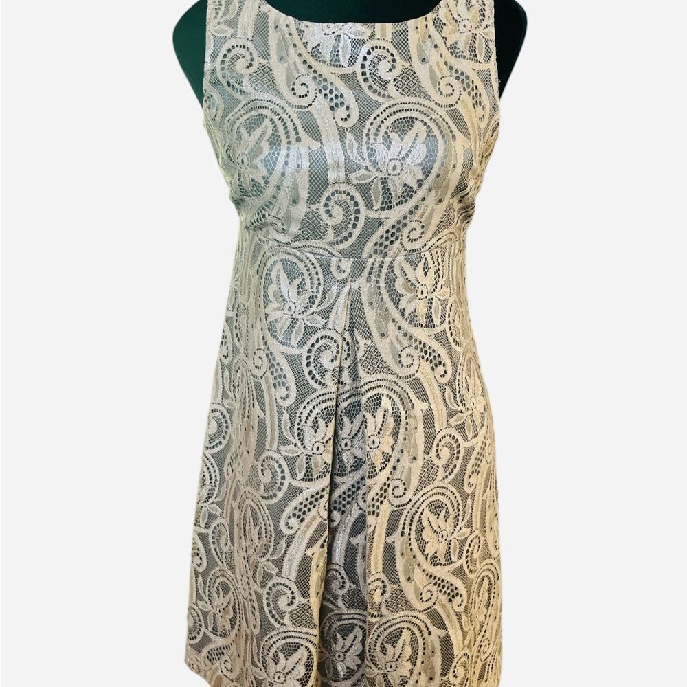 TIBI Bronze Lace Mini Dress Size 4 Cocktail & Wedding Guest